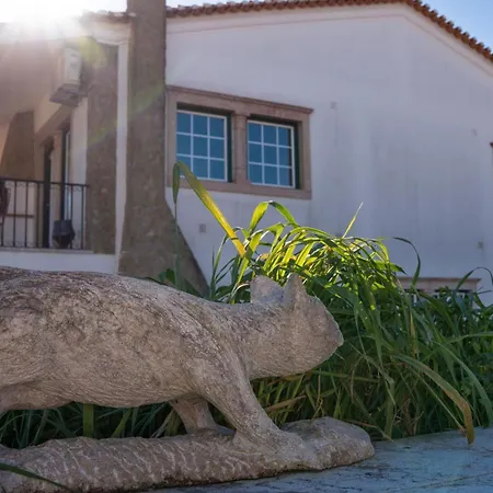 Super House With Pool In Sintra