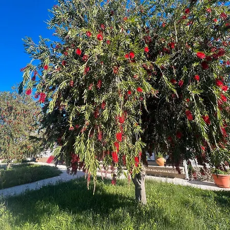 Super House With Pool In Sintra * Terrugem